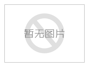 論SPD后備保護(hù)器對電氣系統(tǒng)及防雷器的重要性的研究報(bào)告